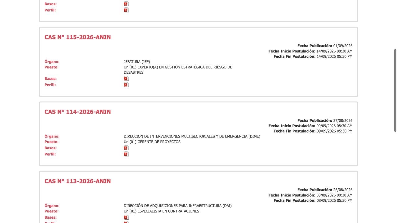 Sistema oficial de ANIN mostrando la convocatoria CAS 114-2026